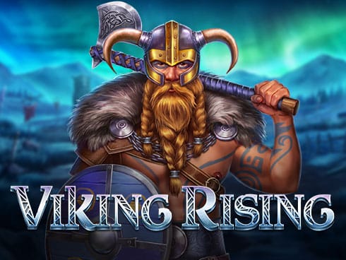 Viking Rising screenshot