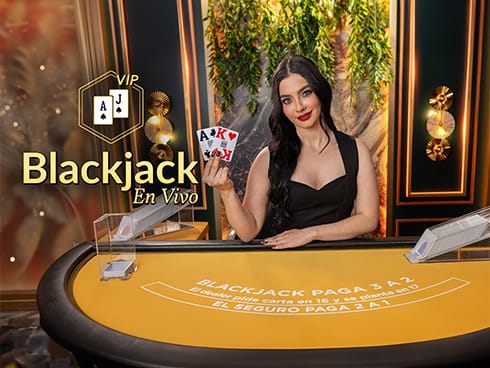 VIP Blackjack en Español 13 screenshot